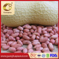 Export High Quality Peanut Kernels with Healthy Value